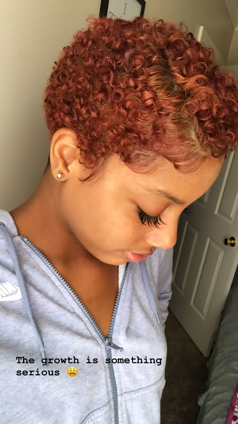 Fall Hair Colors For Black Women Natural Short Hair, Short Curly Haircuts Red Hair, Ginger Twa Hair, Short Curly Ginger Hair Black Women, Ginger Pixie Haircut, Ginger Short Hair Black Women, Short Ginger Hair Black Women, Ginger Pixie Cut, Ginger Pixie Haircut Black Women