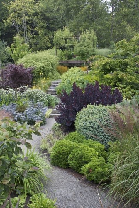 ! Flower Garden Layouts, Deer Garden, Cottage Flowers, Evergreen Garden, Inflammatory Diet, Longwood Gardens, Coastal Gardens, Garden Shrubs, Have Inspiration