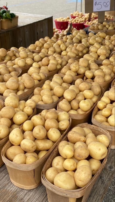 Potato Field Farms, Potato Aesthetic, Potato Farm, Vegetables Farm, Fruits And Vegetables Pictures, Vegetable Pictures, Vegetable Farming, Farm Lifestyle, Farm Food