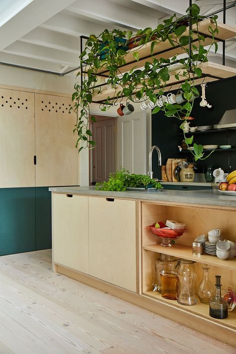 Hanging Kitchen Shelves, Hanging Shelf Kitchen, Ceiling Shelves, Plywood Kitchen, Quirky Kitchen, Kitchen Plants, Estantes Flotantes, Kitchen Extension, Room With Plants