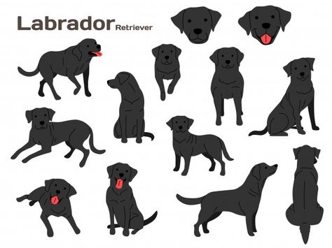 Labrador Illustration, Golden Retriever Illustration, Background Family, Dog Character, Dog Poems, Pet Transport, Dog Portraits Art, Adobe Illustrator Design, Puppy Drawing