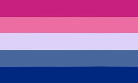 Ace Flag, Bi Flag, Different Flags, Lesbian Pride Flag, Bisexual Flag, Trans Flag, Lgbtq Flags, Lgbt Flag, Lesbian Flag