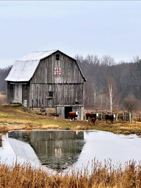 Barn Photography, Barn Pictures, Reflection Photos, Best Barns, Country Barns, The Barnyard, Barn Painting, Finger Lakes, Country Scenes