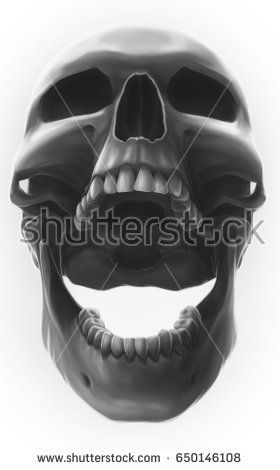 Cool graphic detailed grey human skull with open mouth on white background Skull With Open Mouth, Skull Open Mouth, Open Mouth Drawing, Skull Side View, Sketch Mouth, Screaming Drawing, Turtle Stuff, Tshirt Graphics, Screaming Skull