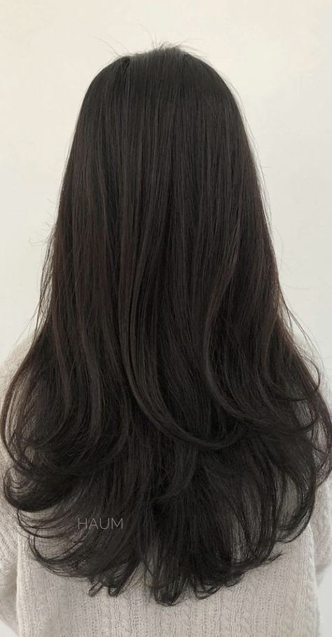 Black Hair Long Layers Curtain Bangs, Long Layers Straight Hair Back View, Low Layer Haircut, Long Layers Korean Haircut, Layers For Medium Length Hair Asian, Strait Layered Hair, Layered Haircut Unstyled, Long Blended Layers Straight, Long Haircut Unstyled