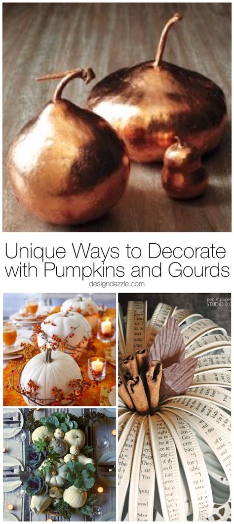 Pumpkins and Gourds are so versatile! Here are thirteen great ideas for working these fall harvest items into your everyday home decor! | fall home decor | pumpkin home decor ideas | how to decorate with pumpkins and gourds | fall pumpkin decor | decorating for fall | home decor ideas for fall | fall inspired home decor || Design Dazzle Pumpkin Home Decor, Pumpkins And Gourds, Everyday Home Decor, Fall Pumpkin Decor, Decorative Gourds, Gourds Crafts, Crafts Holiday, Home Decor Fall, Thanksgiving Tablescapes