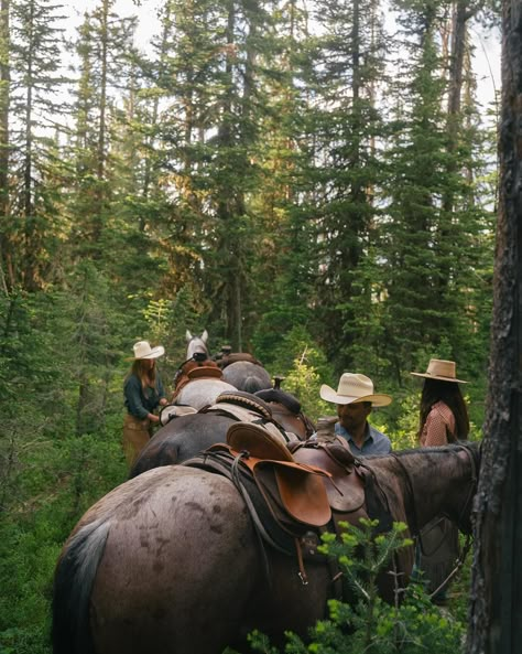 A trail ride memory Reuniting with the Wyoming crew soon Adventurers Aesthetic, Wyoming Ranch, Ranch Party, Trail Riding Horses, Cowgirl Life, Trail Ride, Cowboy Aesthetic, Urban Cowboy, Western Life