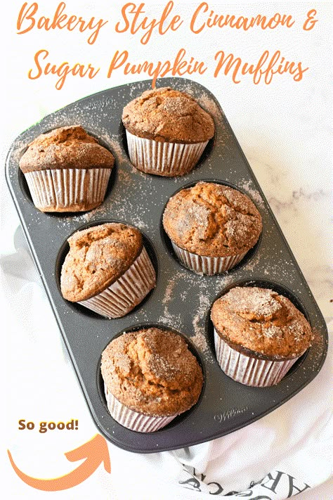 Jumbo Bakery Style Pumpkin Muffins- If you are looking to bake up 6 of the BEST-tasting, perfectly spiced, jumbo, bakery-style Pumpkin Muffins, you have come to the right post. This recipe makes the fluffiest, yummiest muffins you will ever try! They are moist, and feature a crisp cinnamon & sugar top. #pumpkinmuffins #jumbomuffins #jumbopumpkinmuffins #muffins #pumpkin #pumpkinspice via @sizzlingeats Muffin Photography, Nut Breads, Brekkie Ideas, Blueberry Yogurt Muffins, Recipes Muffins, Pumpkin Muffins Recipe, Best Pumpkin Muffins, Muffins Pumpkin, Double Chocolate Chip Muffins