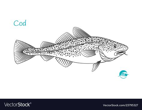 Cod Fish Drawing, Seafood Drawing, Cod Drawing, Crab Cartoon, Fish Sketch, Boat Vector, Drawn Fish, Fish Coloring Page, Fish Illustration