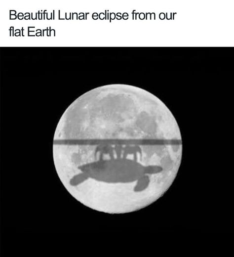 The Internet Can't Stop Trolling Flat-Earthers With 25+ Hilarious Memes Earth Memes, Eclipse Lunar, Best Funny Photos, Meme Page, The Great, Fresh Memes, Lunar Eclipse, Best Funny Pictures, Best Memes