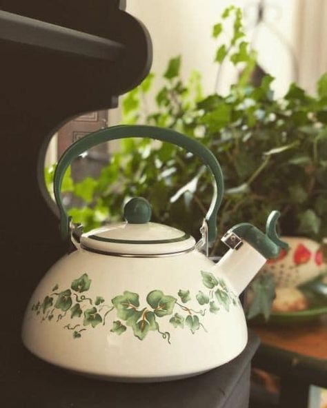 Pretty Tea Kettle, Cute Tea Kettle, Cottagecore Tea, Cute Dishes, Old Pots, Vintage Tea Kettle, Cottagecore Kitchen, Crockery Design, Enamel Cookware