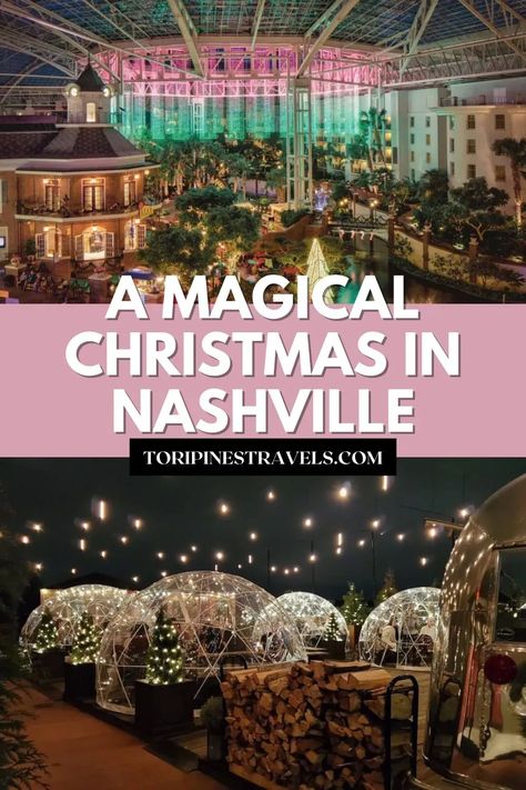 Things to do in Nashville at Christmas Time | Christmas in Nashville | Holiday things in Nashville | Spend the Holidays in Nashville | Tennessee Christmas | Winter in Nashville Tennessee Christmas Vacation, Nashville During Christmas, Grand Hyatt Nashville, Thanksgiving In Nashville, Things To See In Nashville Tn, Christmas At Dollywood, Nashville Tennessee Christmas, Living In Nashville Tn, Things To Do In Nashville In December