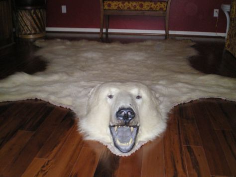 to die for Bear Skin Rug, Animal Skin Rug, Animal Head Wall, Taxidermy Mounts, Taxidermy Art, Bear Rug, Fur Throw Blanket, Faux Taxidermy, Fur Throw