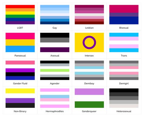 Homosexual Flag, Equality Sticker, Lgbtq Flag, Gay Pride Rainbow Flag, Flags With Names, Gay Flag, Rainbow Flag Pride, Lgbtq Flags, Lgbt Flag