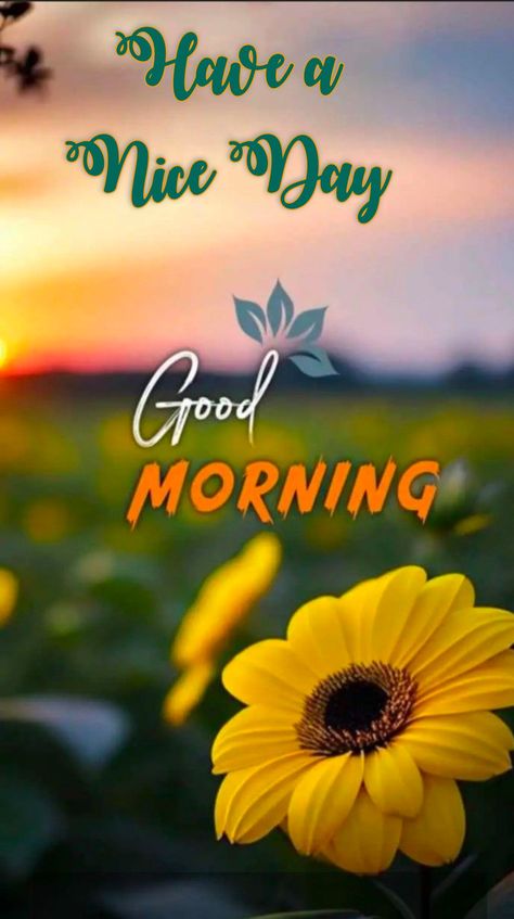 Good Morning Dp, Renatus Wellness, Thursday Good Morning Images, Friday Good Morning Images, Thursday Good Morning, Good Morning Hd Images, New Good Morning Images, Good Morning Hd, Images For Instagram