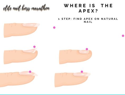 Hello Nail Queen. I saw that you are doing nails. That’s why I’m inviting you to join FREE 5-day online ELITE NAIL BOSS MARATHON, where I will talk about apex placement and stress zone, filing, shaping and marketing skills for nail technicians. I hope I will see you IN. Have a nice day. https://ecademy.ninaihribar.com/elite-nail-boss-marathon Nina I. Hribar E-cademy Nail Apex Placement, Apex Nails Tutorial, Nail Apex Side View, Apex Nails, Nail Education, Elite Nails, Doing Nails, Diy Makeup Remover, Diy Beauty Treatments