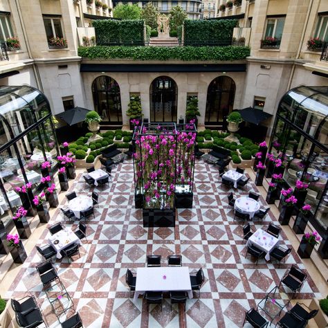 The Ultimate Foodie Experience in Paris, All in One Place Orangerie Paris, George V Paris, France Hotel, Best Restaurants In Paris, Restaurant Drinks, Restaurants In Paris, Parisian Wedding, Restaurant Paris, Neo Classic