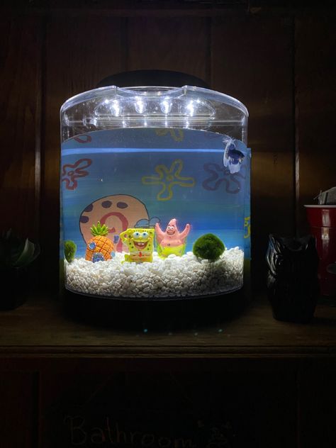 Betta tank idea Betta Tank, Fish Tank, Snow Globes, Fish