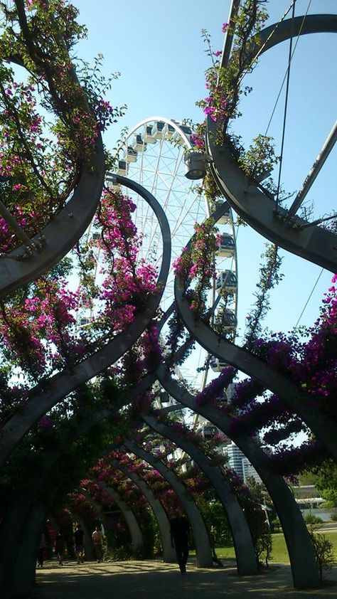 Brisbane Wheel, South Bank Parklands South Bank Brisbane, South Bank, Coffee Cafe, The Other Side, Garden Arch, Brisbane, Arch, Favorite Places, Outdoor Structures