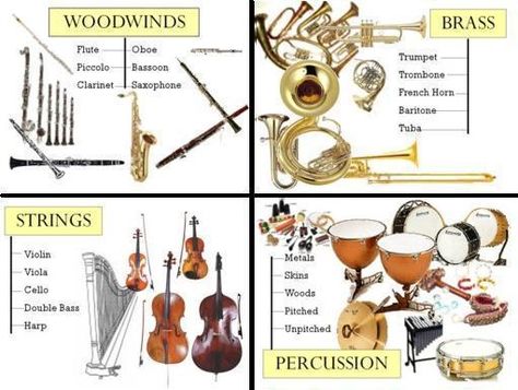 Hello everyone!! We’ve definitely finish the theme of the families of instruments, different instruments and symphony orchestra. Your final work consisted in building your own instrument with… Instruments Of The Orchestra, All For Us, Music Terms, Music Activities For Kids, Instrument Families, Activity For Preschoolers, Homeschool Music, Brass Instrument, Rhapsody In Blue