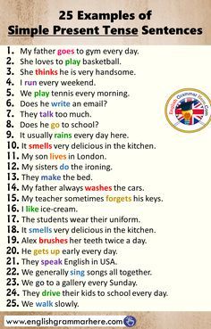 25 Examples of Simple Present Tense Sentences Simple Present Tense Sentences, Present Tense Sentences, 12 Verb Tenses, Simple English Sentences, English Grammar Notes, Learning Grammar, Make The Bed, Basic English Sentences, English Grammar For Kids