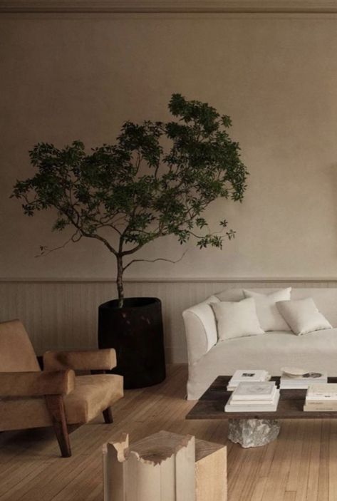 Indoor tree Living Room Trees, Trees In Bedroom, Dream Appartement, Tree In Living Room, Best Indoor Trees, Tree Interior, Wallpaper Boho, Indoor Tree, Phone Wallpaper Boho