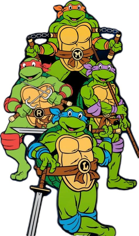 Ninja Turtles Clipart, Leo Ninja Turtle, Turtle Ninja, Ninja Turtles Birthday Party, Chic Tattoo, Sticker Design Inspiration, Ninja Turtle Birthday, Casey Jones, Turtle Birthday