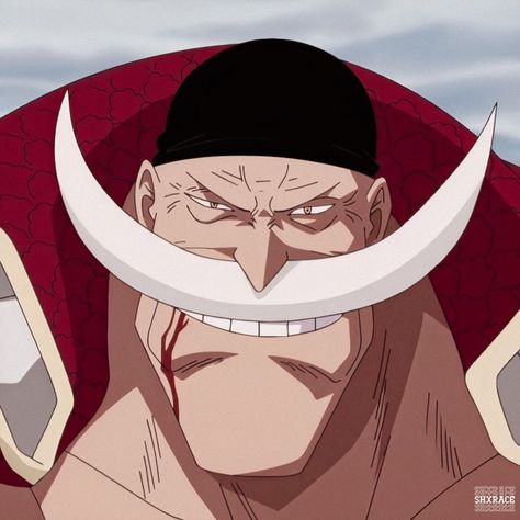 Whitebeard Icon, Barba Blanca One Piece, Whitebeard One Piece, Barba Branca One Piece, Beard Drawing, Luffy Zoro Sanji, Edward Newgate, One Piece Icons, Zoro Sanji