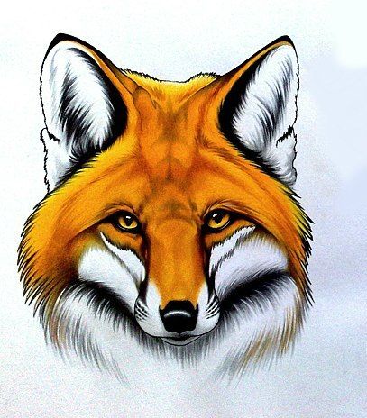 Fox Tattoo Sketch, Fox Tattoo Design, Fox Artwork, Art Fox, Fox Drawing, Fox Pictures, Fox Painting, Fox Tattoo, Fox Head