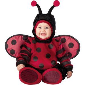 Baby Ladybug Costume, Bug Costume, Baby Fancy Dress, Ladybug Costume, Baby Ladybug, Baby Kostüm, Itty Bitty Baby, Animal Costumes