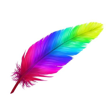 Feather Art Drawing, Cute Display Pictures For Whatsapp, Feather Tattoo Colour, Crocodile Cartoon, Felt Animal Masks, Bird Embroidery Pattern, Feather Illustration, Feather Tattoo Design, Galaxy Wallpaper Iphone