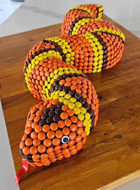 Reese Pieces, Snake Cake, Snake Cakes, Snake Birthday, Toddler Birthday Cakes, Snake Party, Reptile Party, Birthday Cake Recipe, Childrens Birthday Cakes