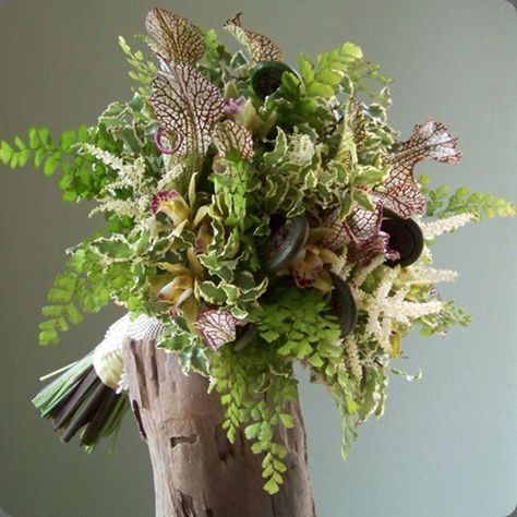 20100625026 floral verde Forest Bouquet, Woodland Wedding Bouquet, Fern Bouquet, Mountain Wedding Decor, Green Bouquets, Fern Wedding, Woodland Floral, Wedding Forest, Green Wedding Flowers