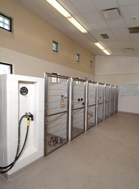 Animal Hospital Design, Dog Daycare Design, Kennel Business, Veterinary Design, Dog Daycare Business, Custom Dog Kennel, Dog Boarding Facility, Dog Boarding Kennels, Outdoor Dog Kennel