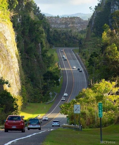 Arecibo Puerto Rico, Speaking Spanish, Streetscape Design, Puerto Rico Pictures, Puerto Rico History, Enchanted Island, Road Design, Scenic Drive, How To Speak Spanish