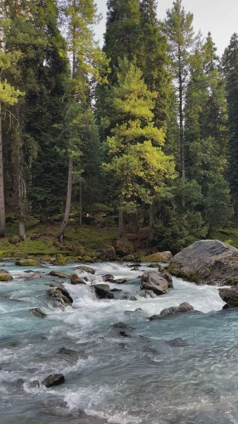 📍Kashmir Mountain Aesthetic, Mountains Aesthetic, Travel Infographic, Waterfall Adventure, Sky Photography Nature, Travel Pictures Poses, Nature Instagram, Amazing Nature Photos, Beautiful Views Video