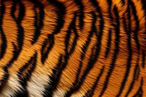 Animal Fur Texture, Tiger Texture, Animal Texture, Tiger Fur, Fur Animal, Tiger Skin, Fur Texture, Tiger Pattern, Video Mockup