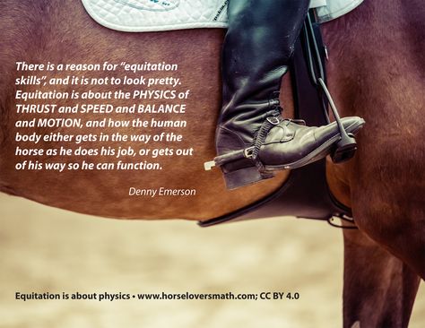 Real world math and science for horse crazy kids. https://www.horseloversmath.com Horse Show Quotes, Equestrian Memes, Equine Quotes, Show Quotes, Pet Quotes, Equestrian Quotes, Majestic Horses, Riding Tips, Drawing Lessons For Kids