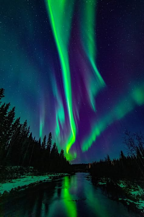 Chena slough North Pole North Pole Lights, North Pole Painting, Wallpaper Backgrounds Night, North Pole Aesthetic, Aurora Borealis Aesthetic, Aesthetic Northern Lights, Colourful Scenery, North Lights, Night Sky Aesthetic