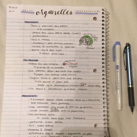 My science notes with a blue mildliner highlighter and and a Pentel Energel Liquid Gel Ink pen with a 0.5 mm tip Pentel Energel Pens, Energel Pens, Mildliner Highlighters, Cell Organelles, Pentel Energel, Science Notes, Gel Ink Pens, Ink Pen, Wine Red