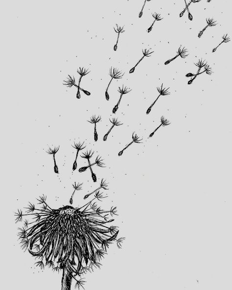 Make a wish & do what makes you happy! Happy Friday. #art #penandink #drawing #mentalhealth #friday #weekendvibes #dandelions #artist #nature Wish Drawing, Dandelion Drawing, Dandelion Wishes, Dandelion Wish, March 1, What Makes You Happy, Weekend Vibes, Make A Wish, You Happy