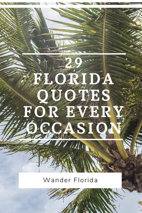 These Florida quotes are some of my favorites because they really encompass what Florida's about. Use them to dream about your Florida vacation or for an Instagram caption or just because you love quotes about Florida. All 29 are on the blog: https://www.wanderflorida.net/florida-quotes #floridaquotes #quotesaboutflorida #inspirationalquotes #quoteoftheday Florida Quotes, Sunshine Quotes, Vacation Quotes, Florida Lifestyle, Travel Quotes Inspirational, Quotes About New Year, Quotes To Inspire, Chicago Tribune, Florida Vacation