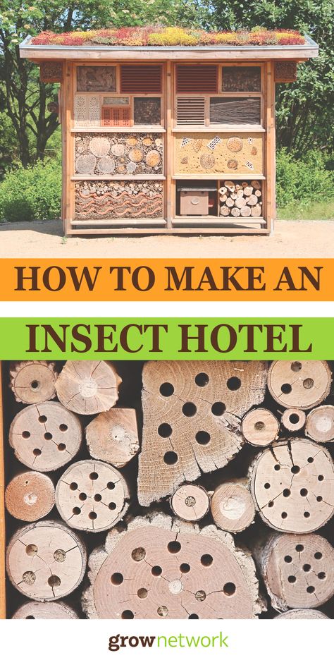 How To Keep Bees, Insect Hotel, Winter Project, Chickens Backyard, Natural Medicine, Grow Your Own, Bee Keeping, Permaculture, Urban Garden