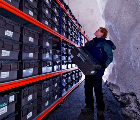 Saving Crop Diversity from Inside a Frozen Mountain via Civil Eats #sustainable #food Seed Vault, Plant Breeding, Royal Ontario Museum, Save Our Earth, Alesund, Green Life, World Peace, Vaulting, Family Farm