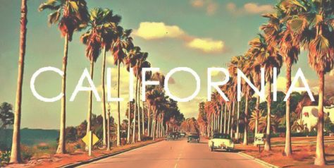 Photo Summer, California Love, California Dreamin', California Dreaming, Venice Beach, Oh The Places Youll Go, Cali, Places To See, Palm Trees