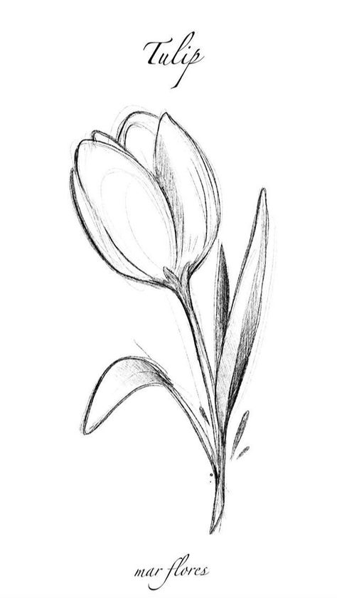 Minimalist tattoos are all the rage right now, and for good reason. They're simple, stylish, and can be customized to fit any personality. Check out these ! . #Sketch_Flowers_Step_By_Step #Animal_Easy_Sketches #Easy_Pencil_Drawings_Of_Flowers_Sketches #Easy_Drawings_Flowers_Simple Tulip Drawing, Tulip Tattoo, Tattoo Design Book, Pencil Drawings Easy, Minimalist Tattoos, Custom Tattoo Design, Sketches Simple, Car Hacks, Design Tattoo