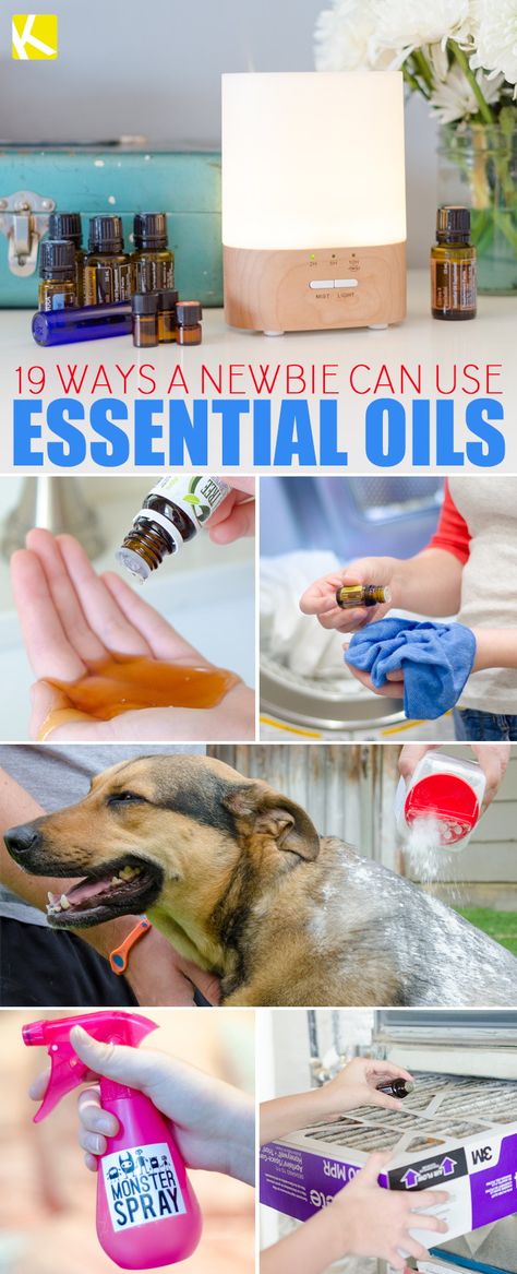 Top 19 Ways a Newbie Can Use Essential Oils Essential Oil Hacks, Uses For Essential Oils, Witch Hazel Uses, Ways To Use Essential Oils, Monster Spray, Homemade Face Wash, Acne Face Wash, Deep Cleaning Tips, Wd 40