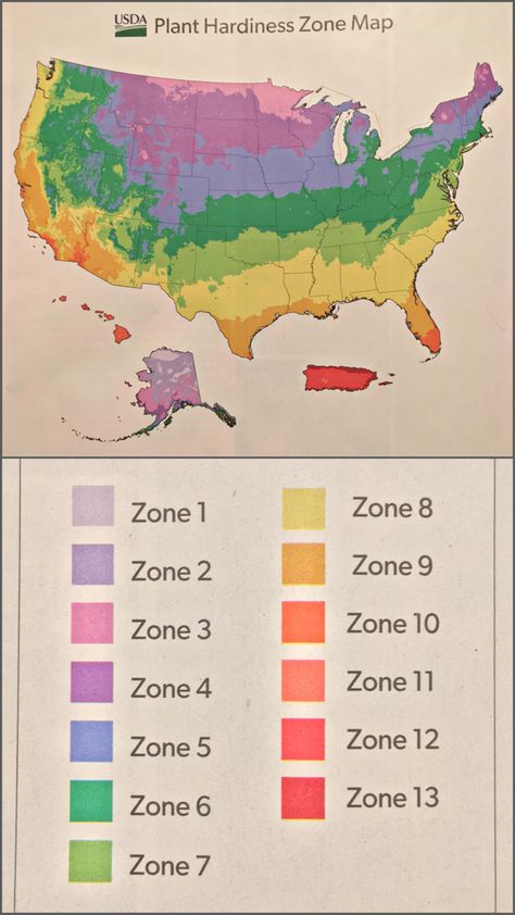 Zone Map For Gardening, Zone Planting Map, Plant Zones Map United States, Planting Zones Map United States, Hardiness Zones Map, Garden Zone 7b, Gardening Zones Map U.s. States, Gardening Zones Map, Garden Zones Map