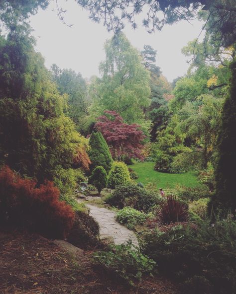 Fletcher Moss Park, Manchester Didsbury Manchester, Country Wedding Ceremony, Woodland Wedding Ceremony, Wedding Locations Outdoor, Pagan Wedding, Rustic Outdoor Wedding, Garden Weddings Ceremony, Spring Outdoor, Summer Wedding Outdoor