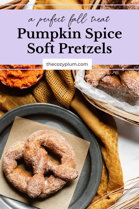 Pumpkin Pretzels Recipe, Pumpkin Spice Pretzels, Pumpkin Spice Yogurt Pretzels Recipe, Sweet Pretzel Recipe, Pumpkin Cinnamon Sugar Pretzels, Fall Pretzels, Pumpkin Soft Pretzels, Cinnamon Sugar Pumpkin Soft Pretzels, Pumpkin Spice Bagels